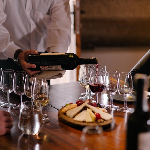 Wine Tasting Wine Tasting